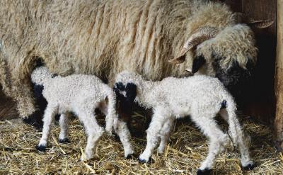 �W��һ��Ҫ���_���F�����������}��һ������...