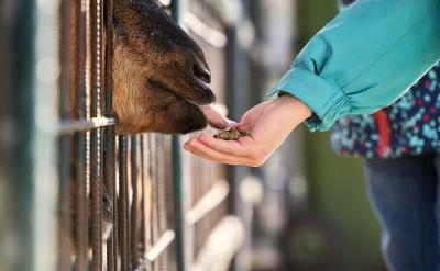 當(dāng)孩子考試得了57分的時(shí)候,其實(shí)第一步要做...