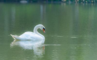 �������_�ČW���B��