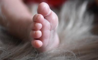  �ώ��v�n�ǫ@ȡ֪�R����ѽݏ����ώ�����...