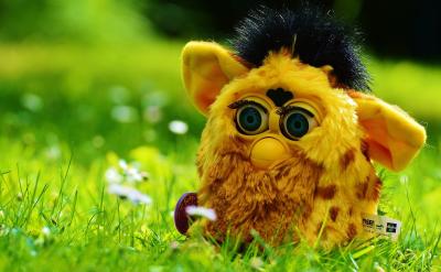 �����������_�ġ��ȡ����������ӡ����ɡ�