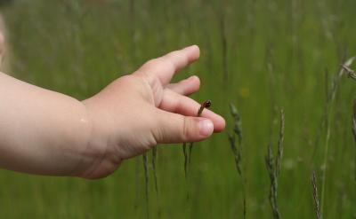 expedition �h��