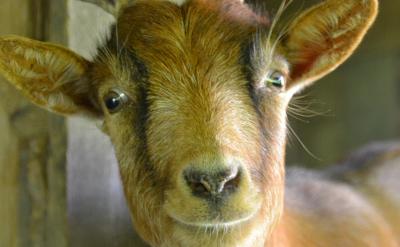 3.1 ���c����