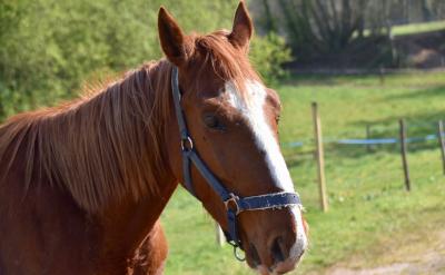  7. �m���P�ĺ��Pע���ӡ��^�ȵ��P�ĺ��Pע...