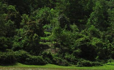 9、自己留作業(yè)的習(xí)慣。