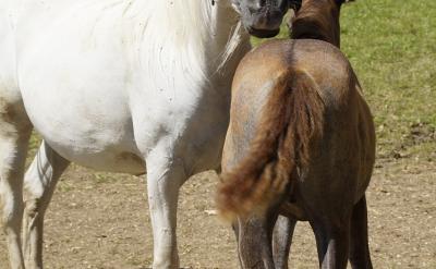 2. �ṩ�e�O�ķ����ͪ���