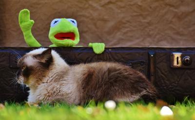 �M�ܴ��˿��ܕ��X��ĳЩ�Α���{��o������...