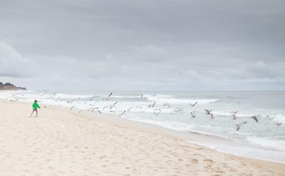 ƪ13���߿���(sh��)�W�_�̂俼����