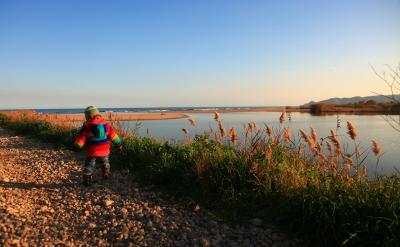 “我想是吧。我注意不到更多的人,我覺得...