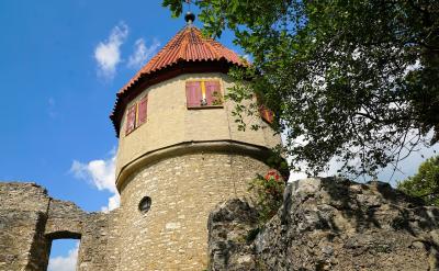 11.可回收物包括:金屬、廢紙、玻璃、布料...