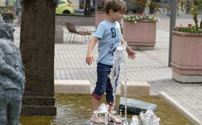 - ���w������