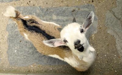 ƪ5���߿���(f��)��(x��)�_��Ӌ��