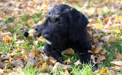 �֙C�������О����w��Ӱ�