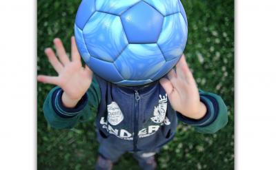  ����������ԭ����� 