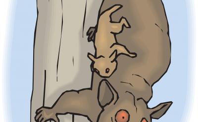 預習和復習:預習可以幫助學生提前了解學習...