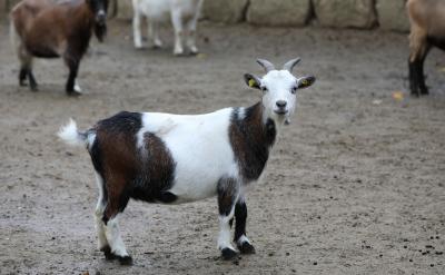 ʲôԓ�������f��ʲô��ԓ�������f��ʲô...