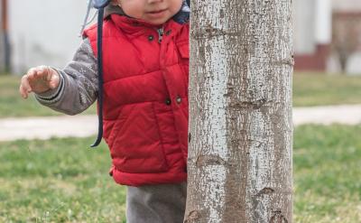 ����һ���𣬃������R���Լ��Ĵ��ڿ��Խo...