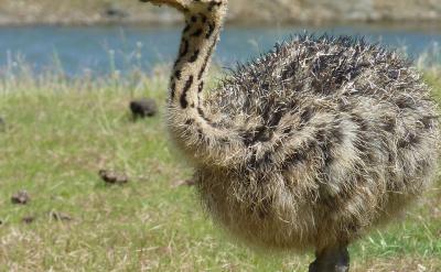 ��Щͬ�W(xu��)�������������}�;o�������þo����...