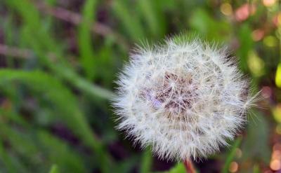 糾正孩子的馬虎習(xí)慣,是一場(chǎng)關(guān)于耐心、責(zé)任...