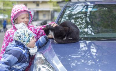 ��(chu��ng)�����õļ�ͥ�h(hu��n)��