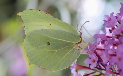 �_�l(f��)������