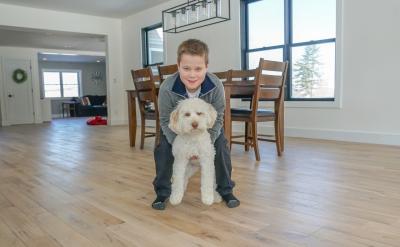  �nЧ�ʵ�����