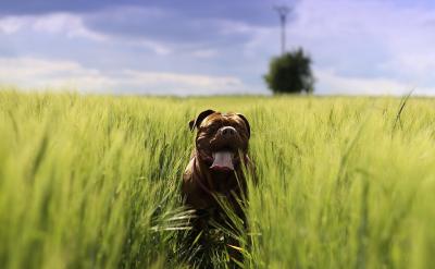 1、掌握基本的數(shù)學(xué)知識