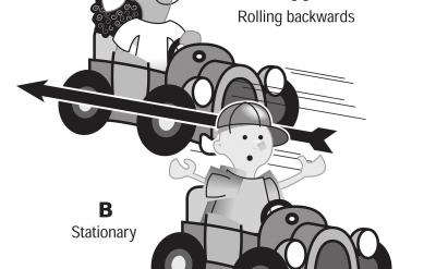 �ġ����̌W(xu��)�Ĝ�(zh��n)�乤��