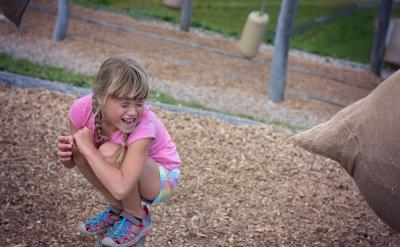 篇13:高三學(xué)生家長(zhǎng)必讀指南