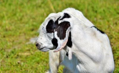 4. ����(qi��ng)���Լ�������