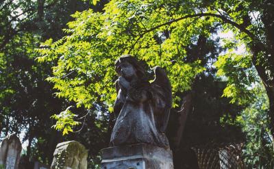 �������У�ÿ���˶����ڲ���(j��ng)��r�e�^һЩ��...