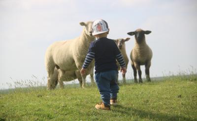 20���D�ӷ�