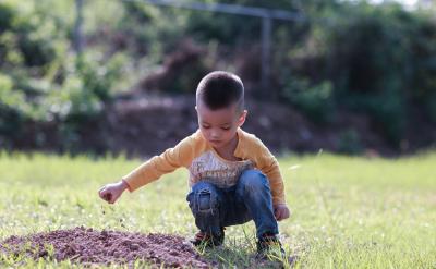 1. �����J֪�����ݽ���