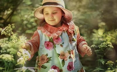 �M�ܽ�����ĸ߿���������}��Ҫ���쿼����(du��)...