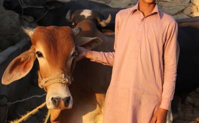 ��ο���˽������ԭί