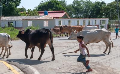 有效的溝通方法