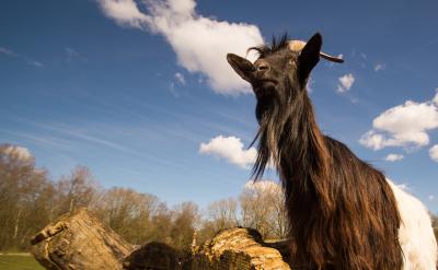 ���L���̎��͌W���Ĺ�ͬŬ��