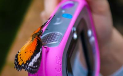 �Ԇ�Ԫ��(f��)��(x��)�������w�(f��)��(x��)���o���B͸�W(xu��)����...