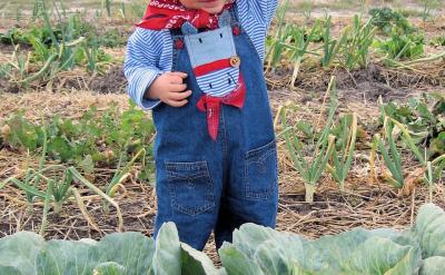 7���������ӌW�����ڽ̌W�^���У��̎���һ...