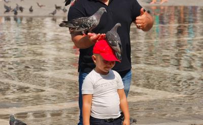 2���w�e�˵ĸ��X