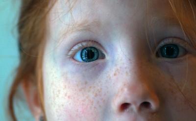 ���������̌W(xu��)�����D(zhu��n)�Թ�������