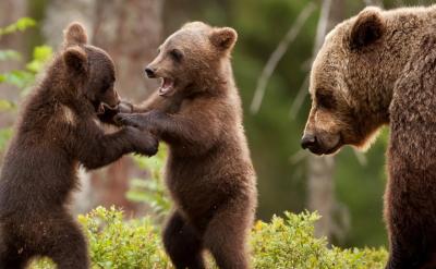 6.��(du��)���ӳ�ݸ���Ӱ�����V���ϾW(w��ng)���V���Α�...