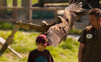 3. ������λ��ƣ��