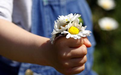 在二年級的奧數(shù)學(xué)習(xí)中,計(jì)算問題是重點(diǎn)也...