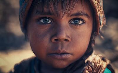 3、指導學生評析詩句。