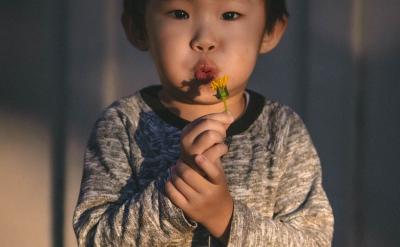 1. �A �c���⣺���L����Ҫ�ɞ麢�ӵăA ...