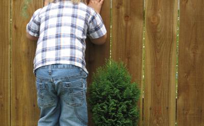 �������Ӱl(f��)�F(xi��n)�Լ��ă�(y��u)�c���L̎