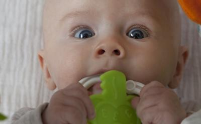 ƪ5���߿�Ӣ�Z�����f���_�^����