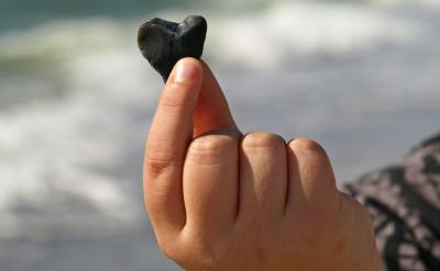 ���m�����ƺ��ܸ��d�����_ʼ��������������...