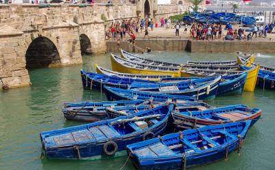 篇4:高考備考建議與策略